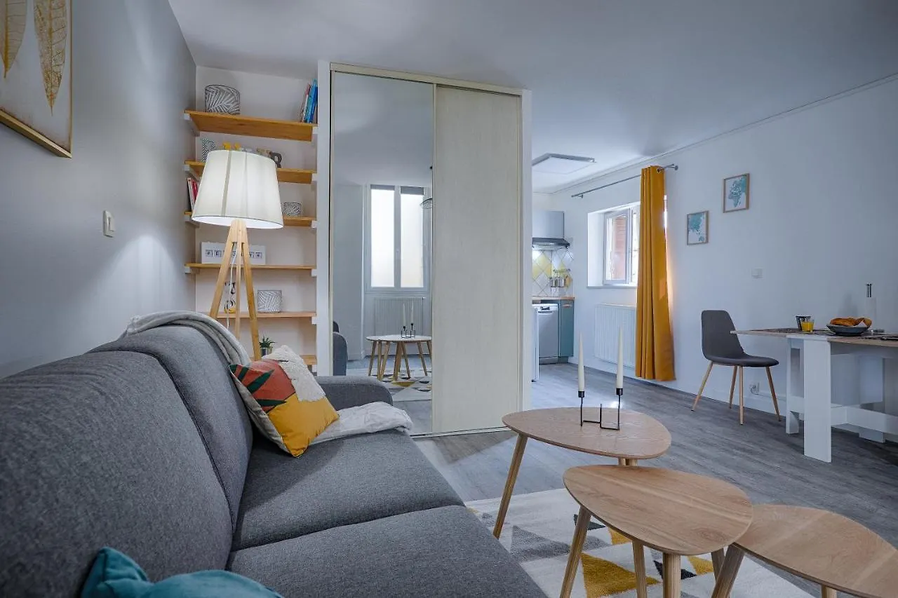 Apartment La Chopine - Grand Studio, Centre Historique, Hotel De Ville Romans-sur-Isere