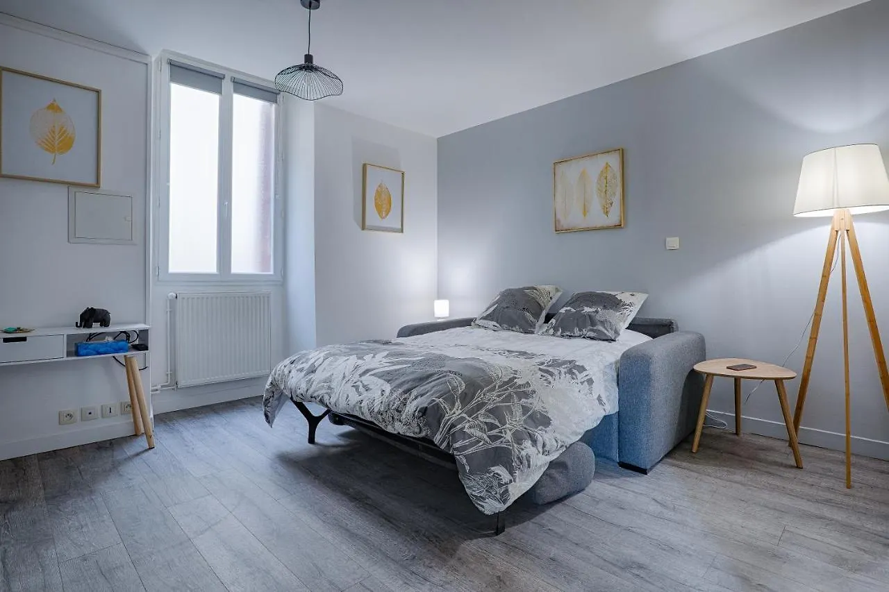La Chopine - Grand Studio, Centre Historique, Hotel De Ville Romans-sur-Isere France